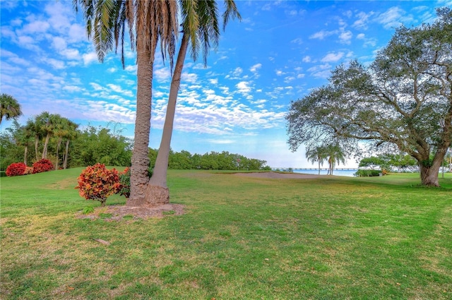 view of yard featuring a water view