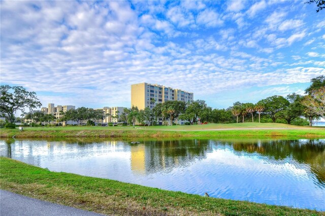 2616 Cove Cay Dr Unit 506, Clearwater, FL 33760 - photo 99