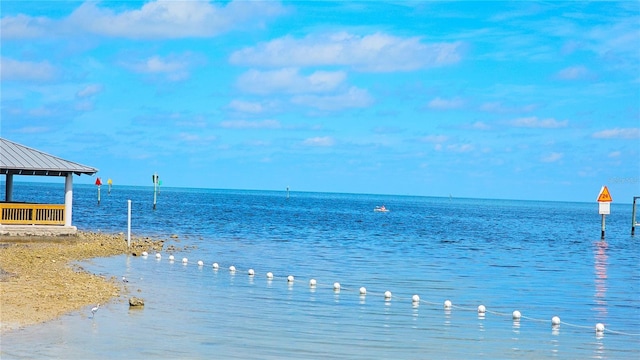 view of water feature featuring a view of the beach