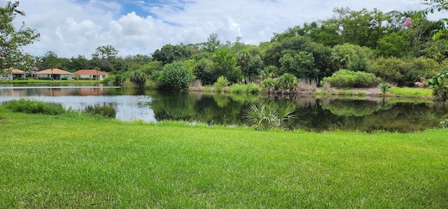 property view of water