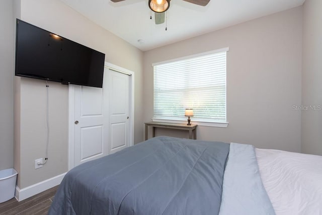 bedroom featuring ceiling fan, dark hardwood / wood-style flooring, and a closet