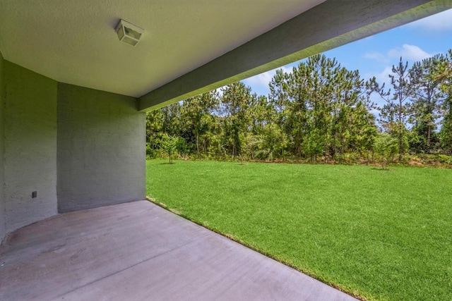 view of yard with a patio