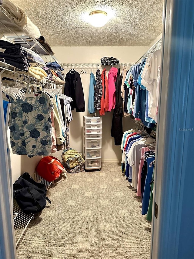 walk in closet featuring carpet floors