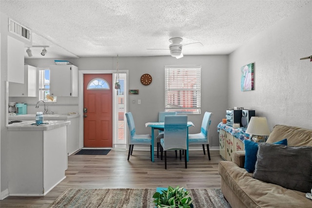 entryway featuring a wealth of natural light, wood-type flooring, ceiling fan, and a textured ceiling