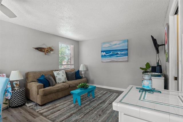 living room featuring a textured ceiling and wood-type flooring