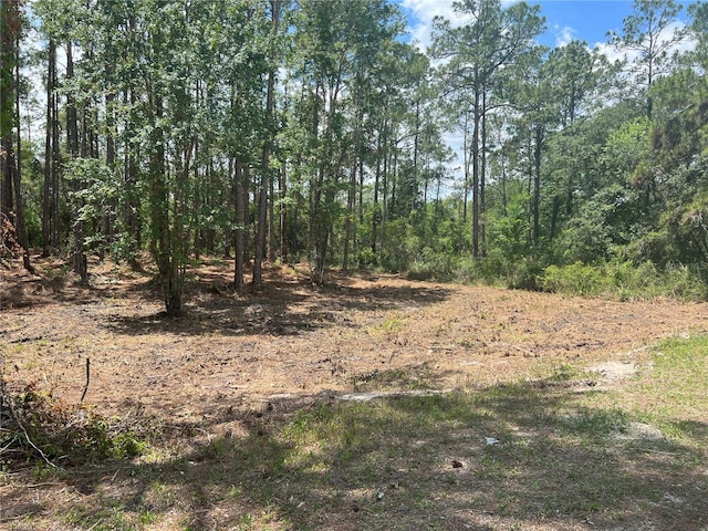 7225 Willoughby Dr, Webster FL, 33597 land for sale