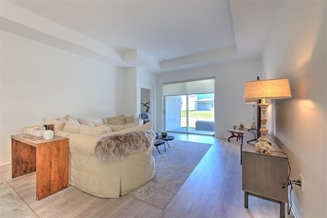 living room with a raised ceiling and light hardwood / wood-style flooring