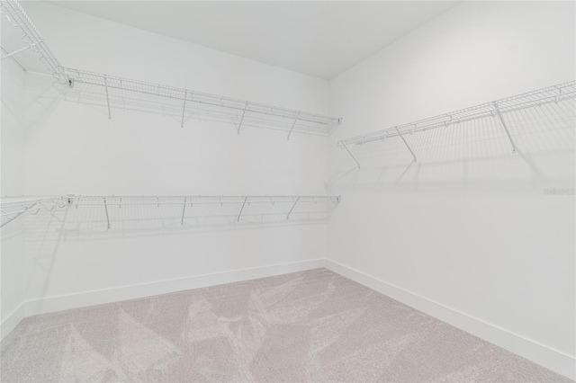 walk in closet featuring carpet flooring