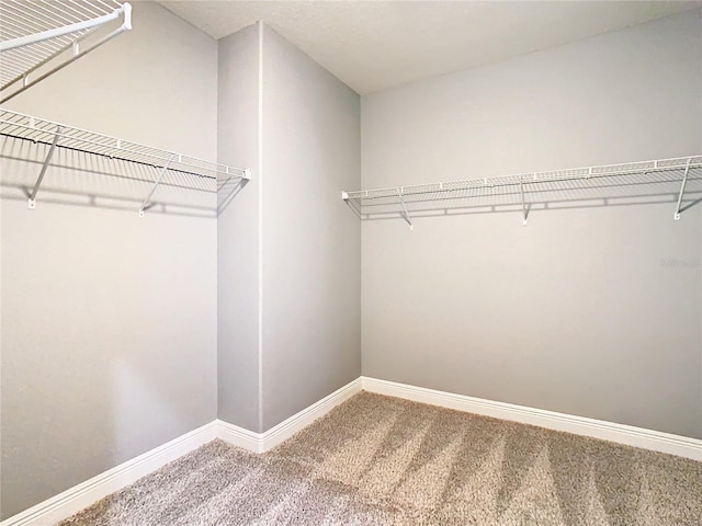 spacious closet with carpet floors