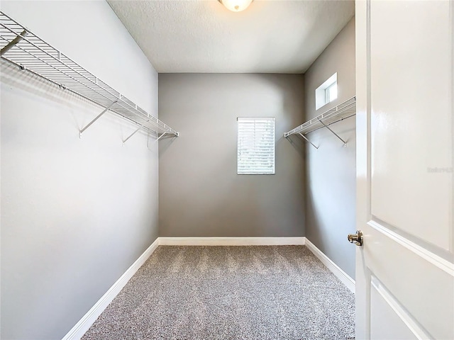 spacious closet with carpet floors