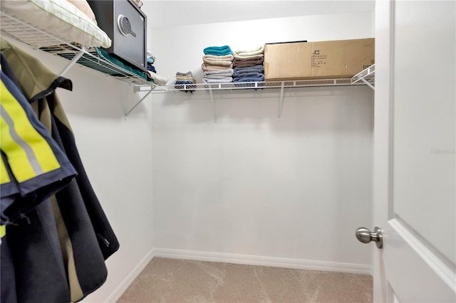 spacious closet with light carpet