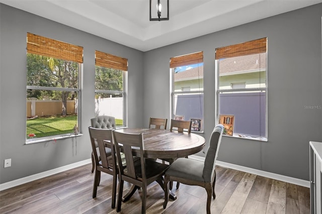 dining space with baseboards, a raised ceiling, and wood finished floors