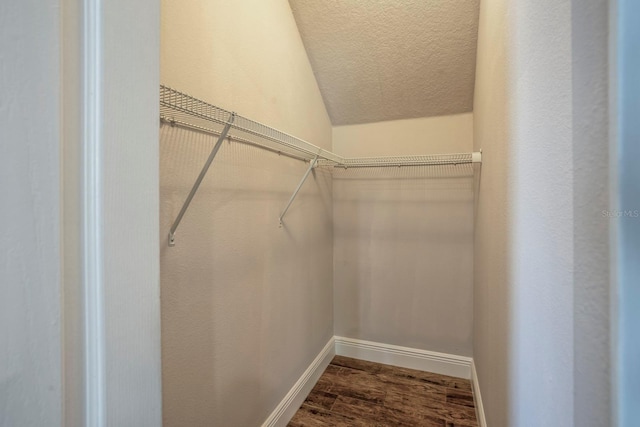 spacious closet featuring vaulted ceiling