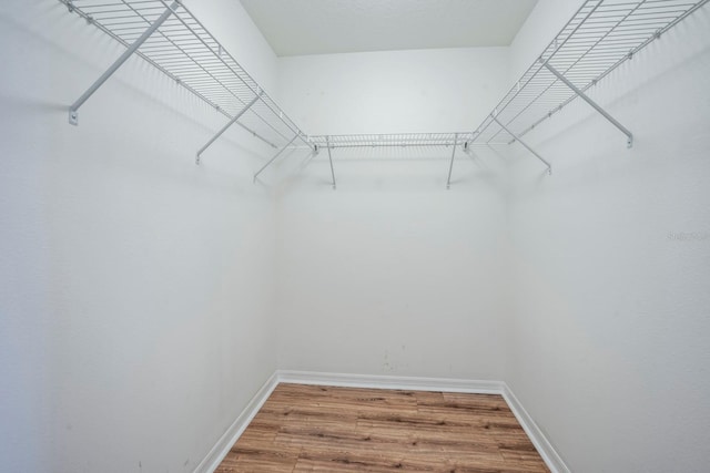 walk in closet with hardwood / wood-style floors