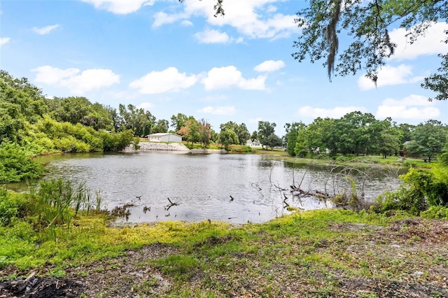 property view of water