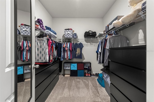 spacious closet with carpet