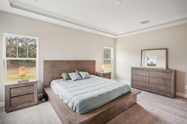 bedroom with a raised ceiling and light carpet