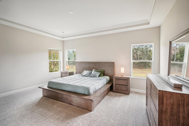 carpeted bedroom featuring a raised ceiling and multiple windows