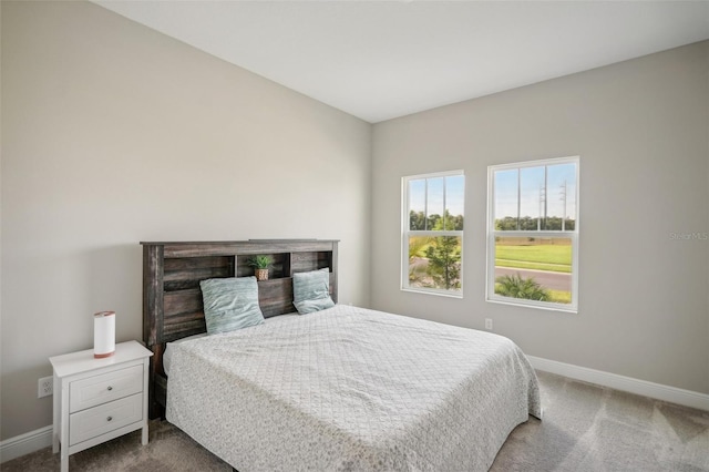 bedroom with carpet floors