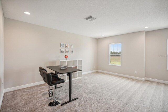 14292 Swiss Bridge Dr, Riverview, FL 33579 - photo 40