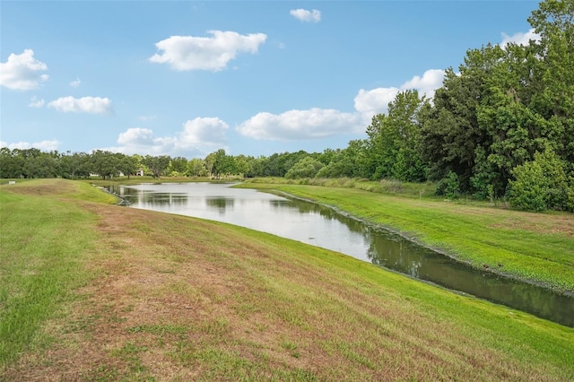 14292 Swiss Bridge Dr, Riverview, FL 33579 - photo 50