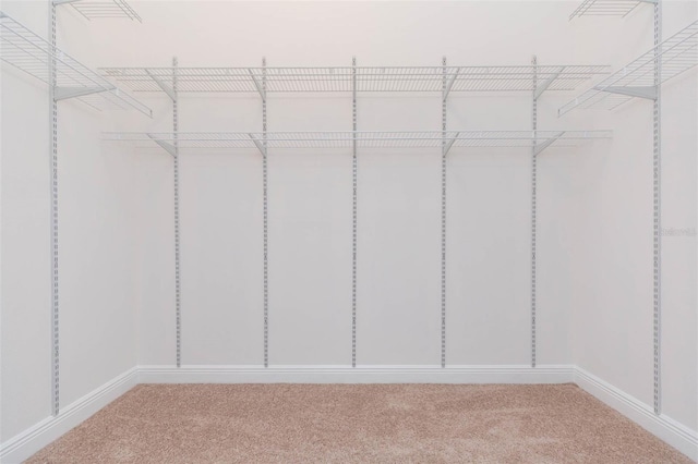 walk in closet with carpet