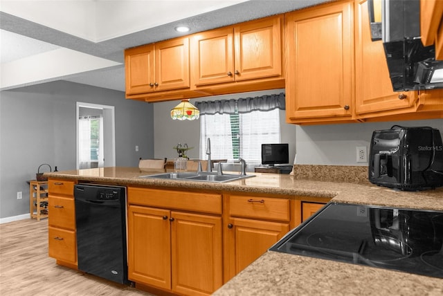 kitchen featuring black dishwasher, stove, sink, and light hardwood / wood-style flooring