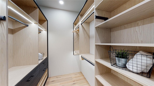 walk in closet featuring light hardwood / wood-style flooring