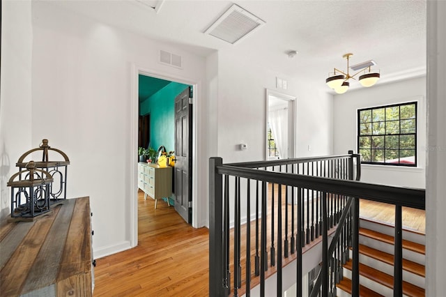 hallway with a chandelier and hardwood / wood-style flooring