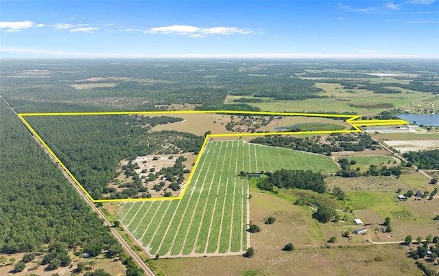 1980 Lake Buffum Rd E, Fort Meade, FL 33841 - photo 6
