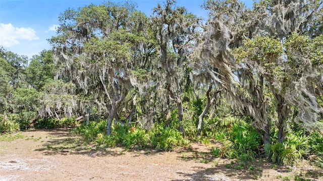 1980 Lake Buffum Rd E, Fort Meade, FL 33841 - photo 8