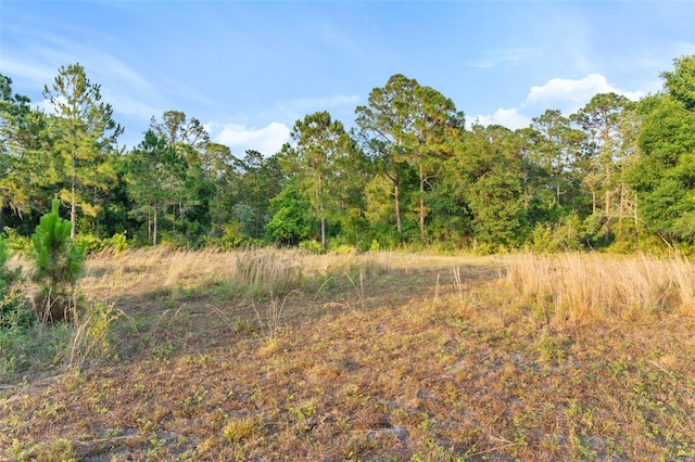 1980 Lake Buffum Rd E, Fort Meade, FL 33841 - photo 9