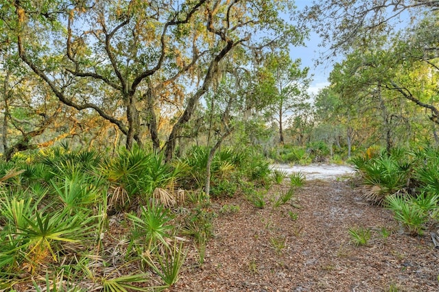 1980 Lake Buffum Rd E, Fort Meade, FL 33841 - photo 10