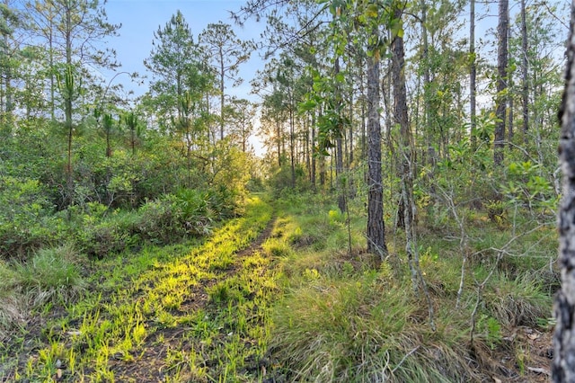 1980 Lake Buffum Rd E, Fort Meade, FL 33841 - photo 11
