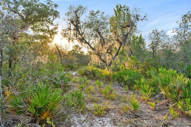 1980 Lake Buffum Rd E, Fort Meade, FL 33841 - photo 12