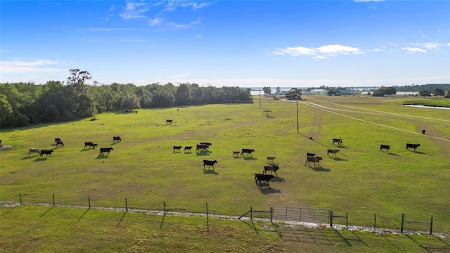 1980 Lake Buffum Rd E, Fort Meade, FL 33841 - photo 13