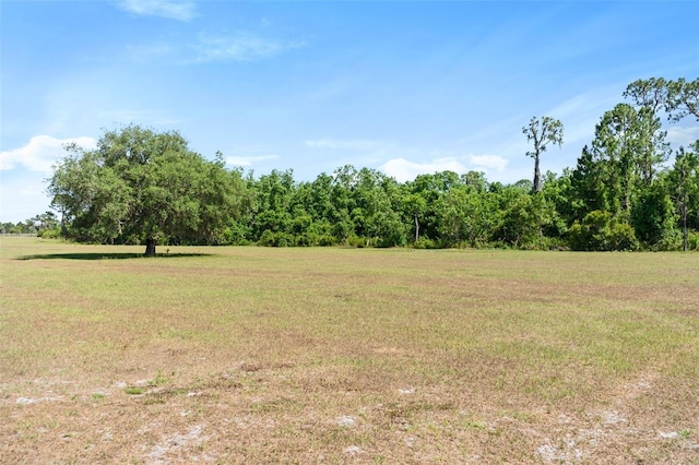 1980 Lake Buffum Rd E, Fort Meade, FL 33841 - photo 58
