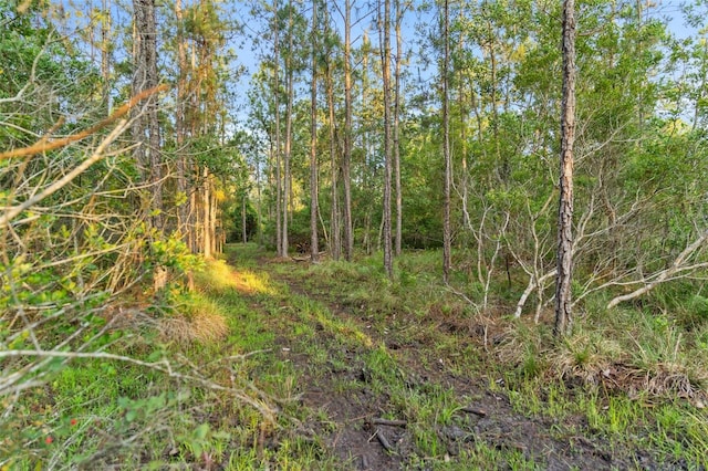 1980 Lake Buffum Rd E, Fort Meade, FL 33841 - photo 59