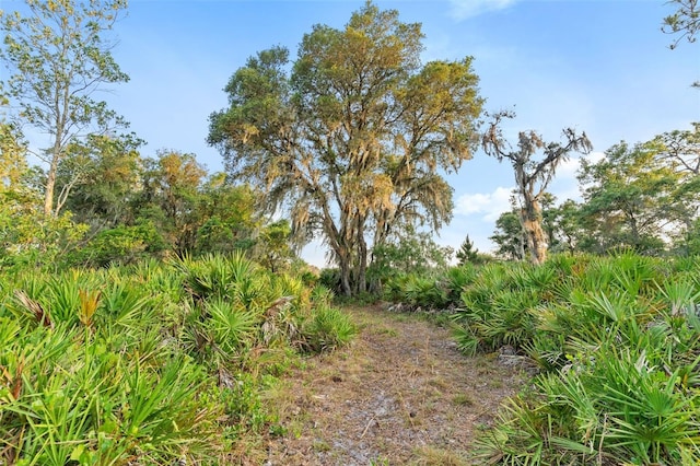 1980 Lake Buffum Rd E, Fort Meade, FL 33841 - photo 60