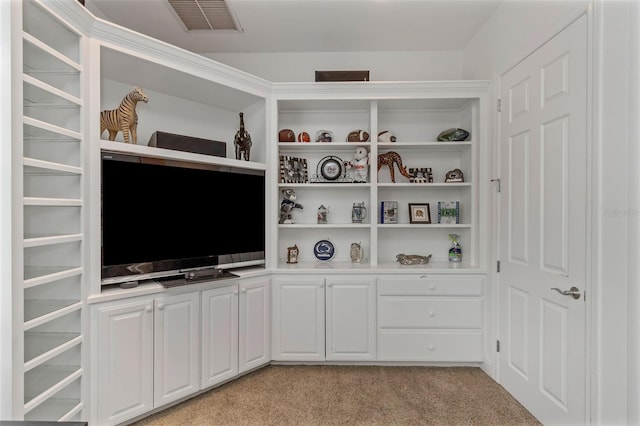 spacious closet with light carpet