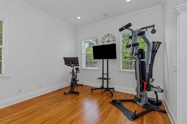 exercise room featuring wood-type flooring and crown molding