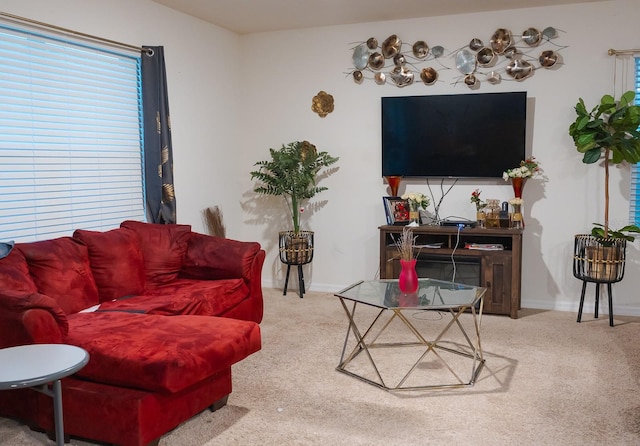 living room featuring carpet