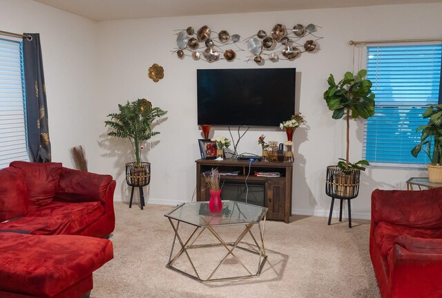 view of carpeted living room