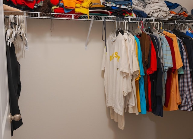 view of walk in closet