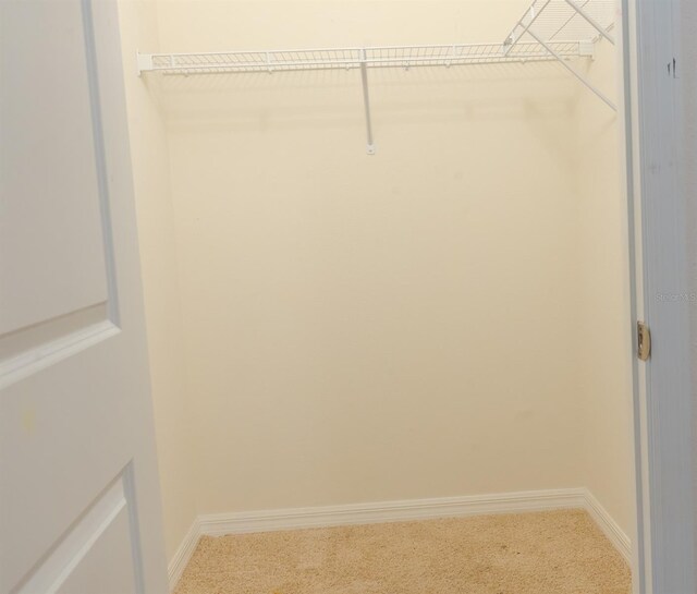 walk in closet featuring carpet