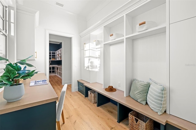 mudroom with light hardwood / wood-style floors