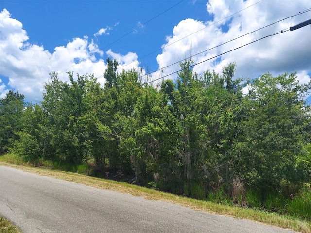 5410 Bob Smith Ave, Plant City FL, 33565 land for sale