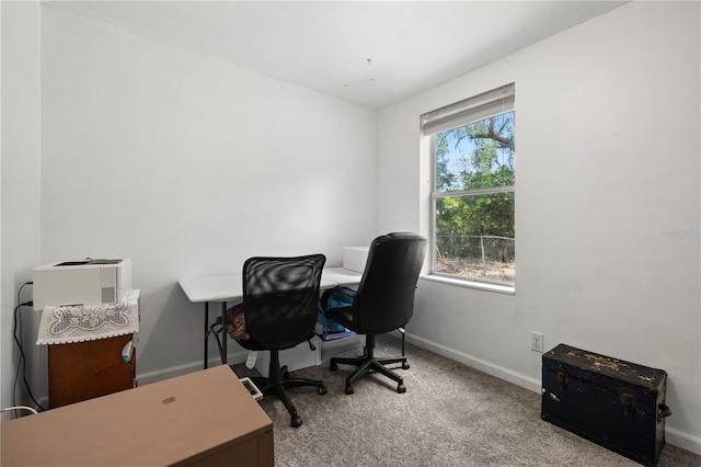 office with plenty of natural light and carpet