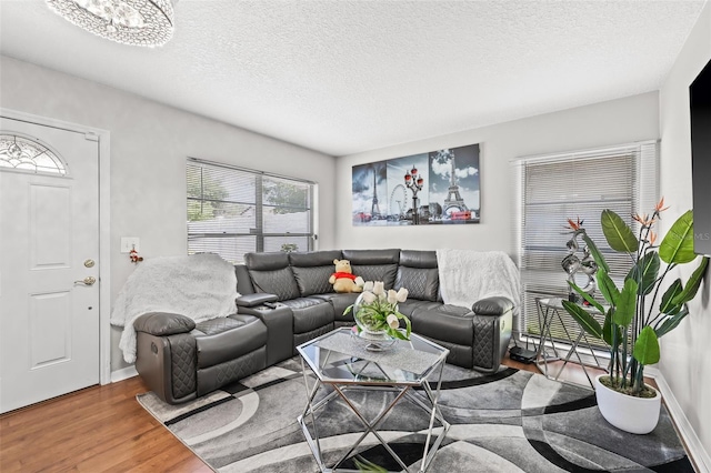 living room with hardwood / wood-style flooring and a textured ceiling