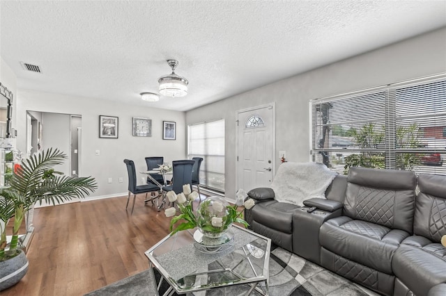 living room featuring hardwood / wood-style floors and a textured ceiling